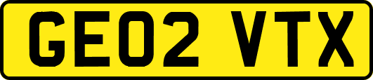 GE02VTX