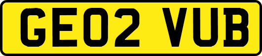 GE02VUB