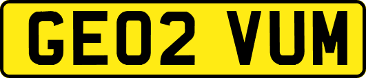 GE02VUM