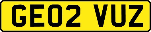 GE02VUZ