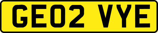 GE02VYE