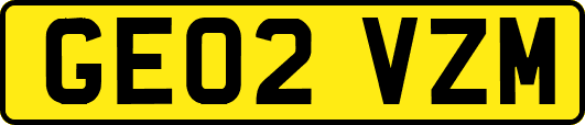 GE02VZM