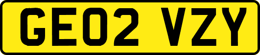 GE02VZY