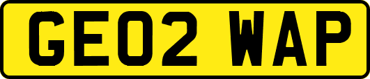 GE02WAP