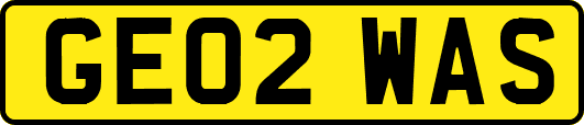 GE02WAS