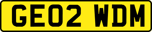 GE02WDM