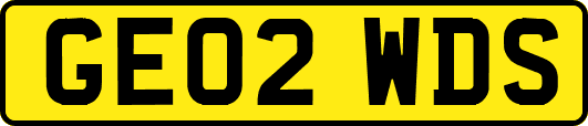 GE02WDS