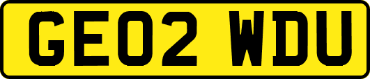 GE02WDU