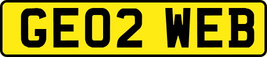 GE02WEB