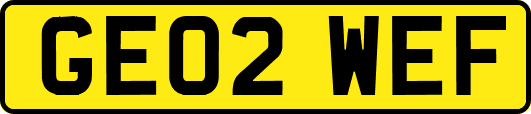GE02WEF