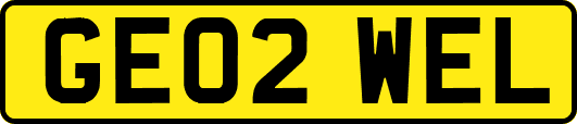 GE02WEL