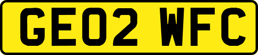 GE02WFC