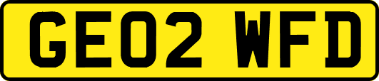 GE02WFD