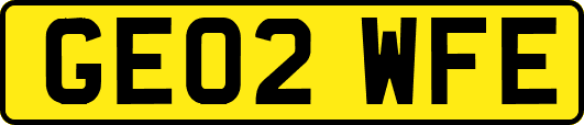 GE02WFE