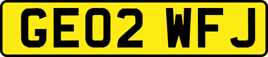 GE02WFJ