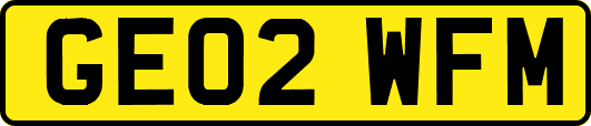 GE02WFM