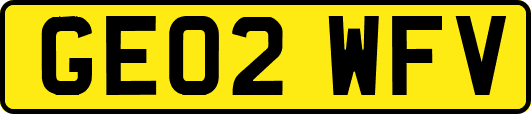 GE02WFV