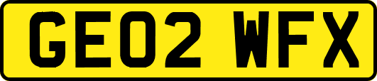 GE02WFX