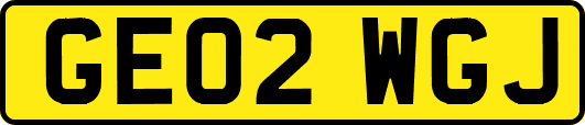 GE02WGJ