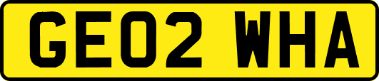 GE02WHA
