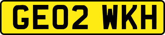 GE02WKH