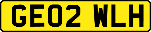GE02WLH