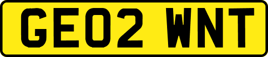 GE02WNT