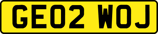 GE02WOJ