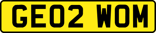 GE02WOM