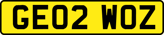GE02WOZ