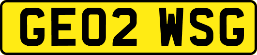 GE02WSG