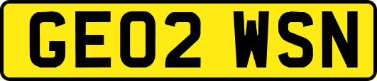 GE02WSN