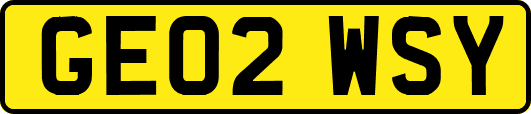 GE02WSY