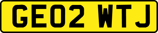 GE02WTJ