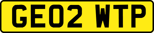 GE02WTP