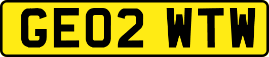 GE02WTW