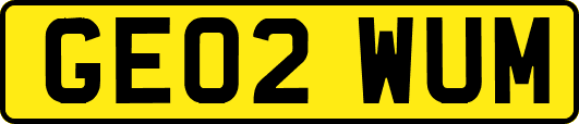 GE02WUM