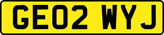 GE02WYJ
