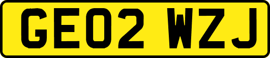 GE02WZJ