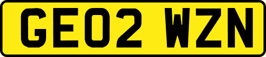 GE02WZN