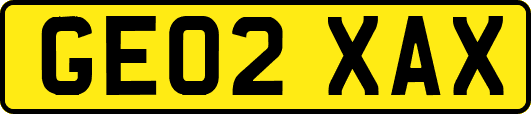 GE02XAX