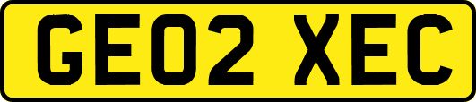 GE02XEC
