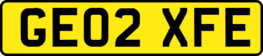 GE02XFE