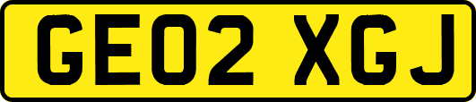 GE02XGJ