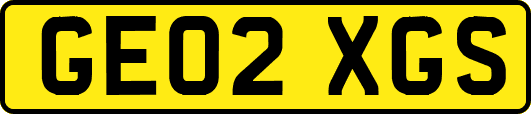 GE02XGS