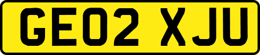 GE02XJU