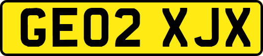 GE02XJX