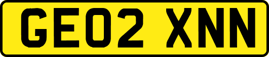 GE02XNN