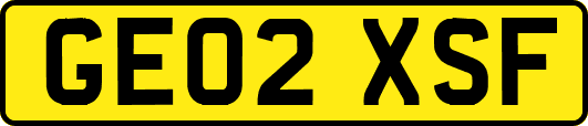 GE02XSF
