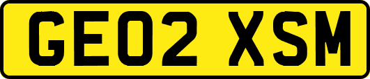 GE02XSM